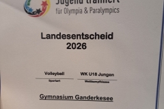 2026-JtfO-Volleyball01